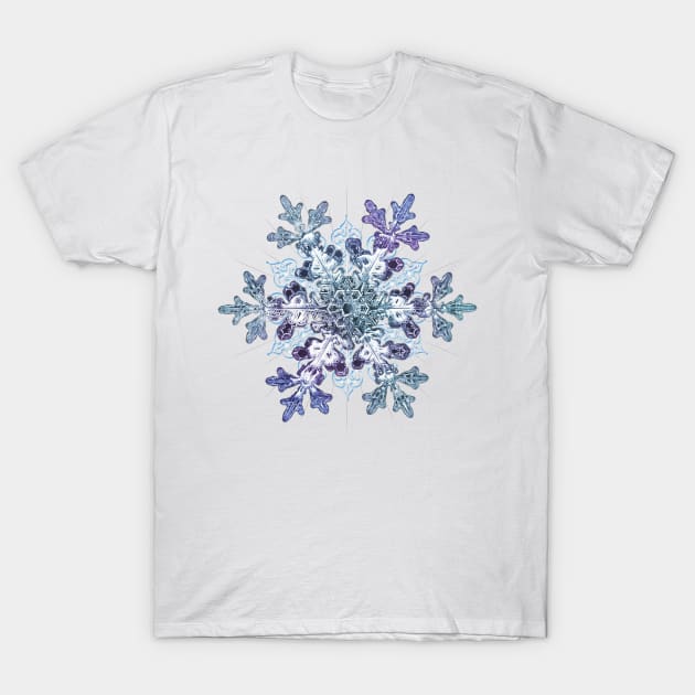 Snowflake T-Shirt by Artizan